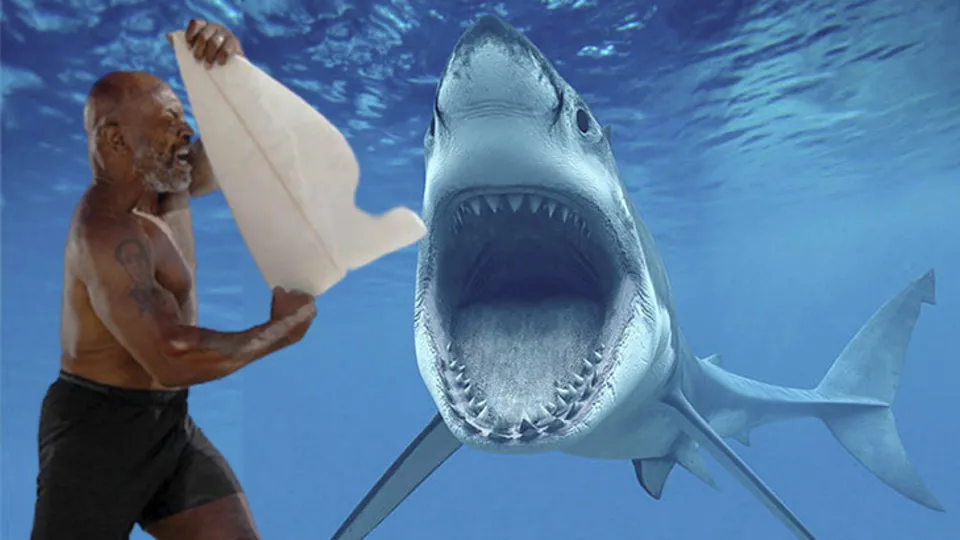 Dünyaca ünlü boksör Mike Tyson köpek balıklarına karşı! Aralarına daldı burnundan tutup...