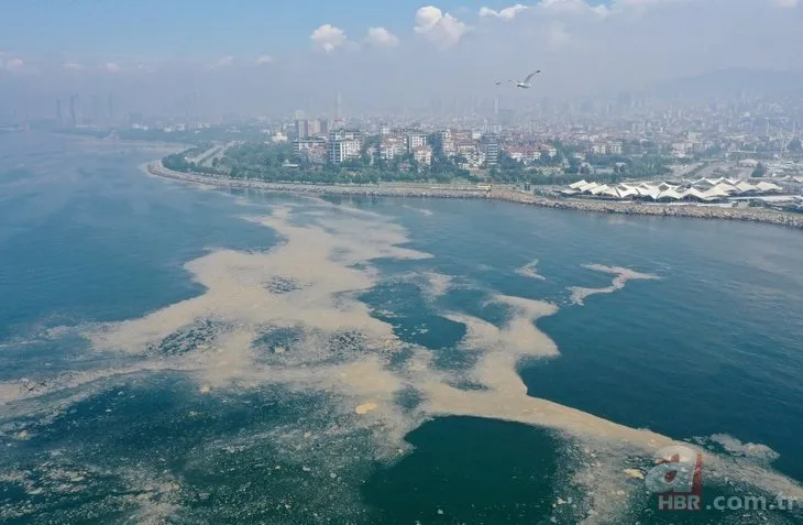 Marmara Denizi’nin güney kıyılarındaki araştırma tamamlandı! Tek sorun müsilaj değil!