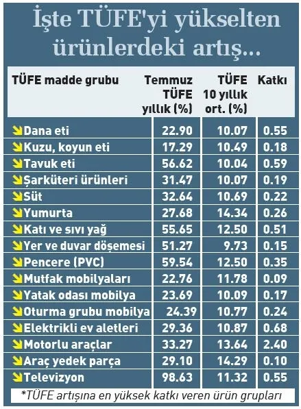 Sabah Gazetesi yazarı Dilek Güngör: Bu tavuklar altın mı yumurtluyor - 7
