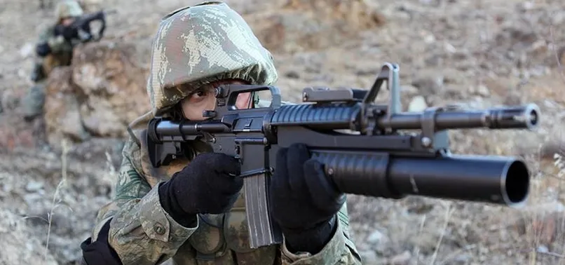 Hakkari'de 2 terörist öldürüldü