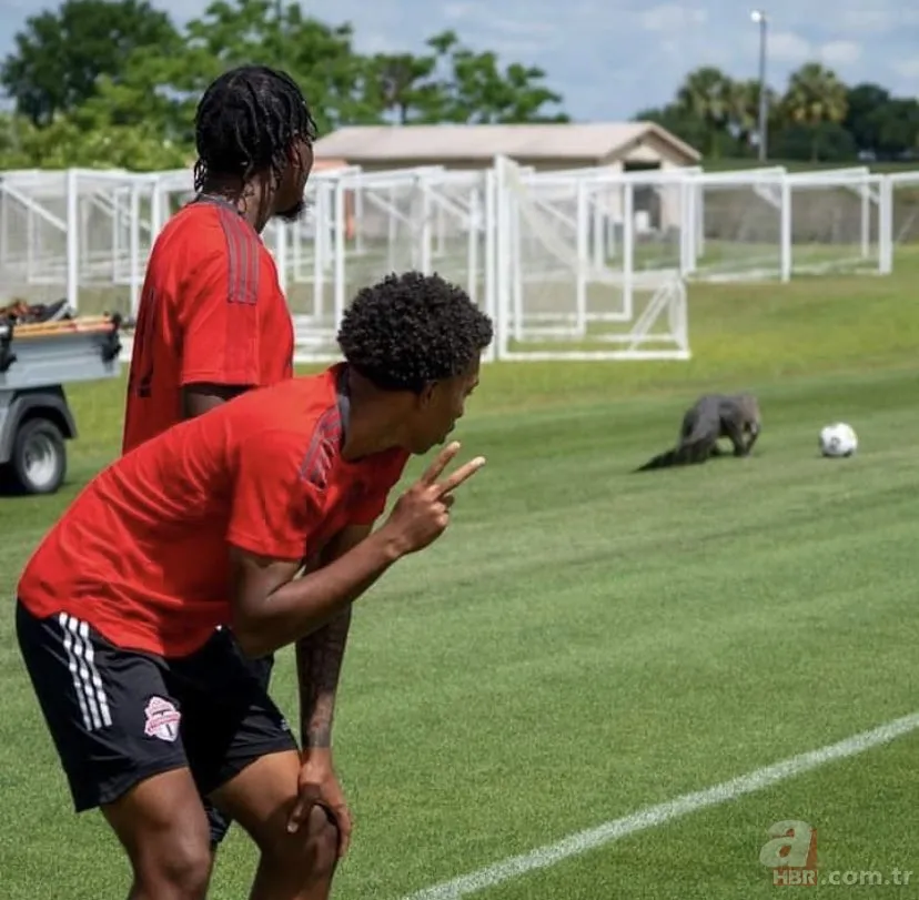 Sürücülerin kabusu oldu! Geceleri ortaya çıkıp yola fırlıyor 25