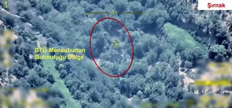 Şırnak ve Diyarbakır'da PKK'ya darbe! Kırmızı kategorideki terörist öldürüldü