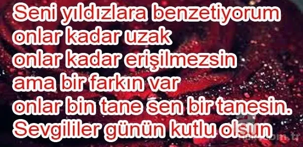 Sevgililer Günü hediyesi bayan için erkek için neler alınabilir? 14 şubat Sevgililer Günü hediye fikirleri 16