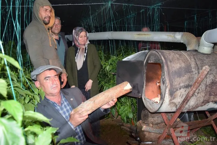 Antalyalı çiftçiler donla mücadelesinde davul zurna kullanıyor! 16 saatlik nöbet