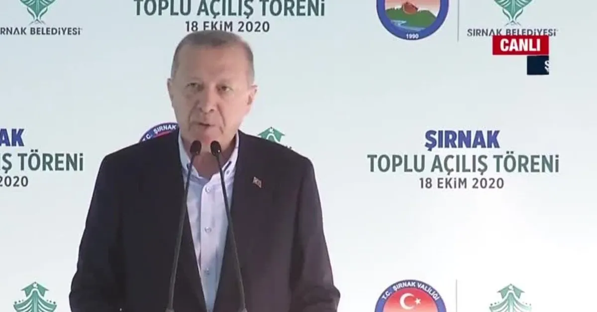 Başkan Erdoğan'dan önemli açıklamalar