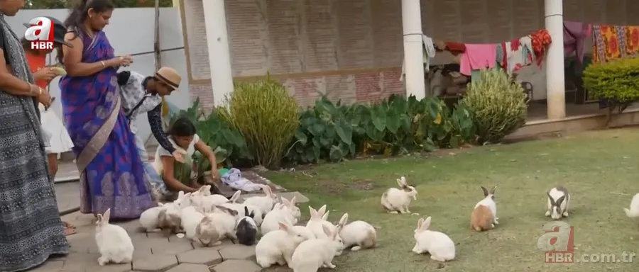 Hayvanat bahçesinden kan donduran çağrı: Evcil hayvanlarınızı yırtıcılara yem yapalım 4