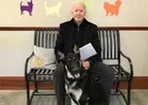 Joe Biden köpeğiyle oynarken düştü