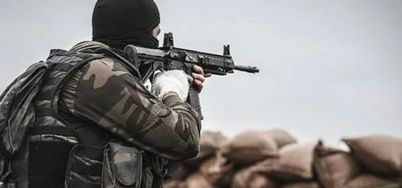 Hakkari terör operasyonu