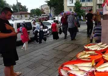 Sinop'ta palamutlar tanesi 350 liradan tezgahlarda!