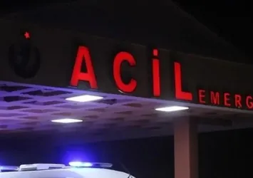 Aydın'da mantar zehirlenmesi: 4 kişi hastanelik oldu