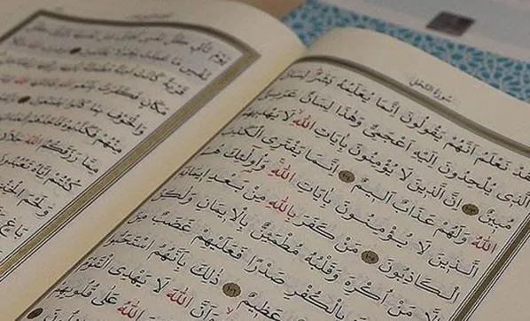 Fetih Suresi Arapça Okunuşu Ve Anlamı! Fetih Suresi Türkçe Oku Dinle! İşte faziletleri...