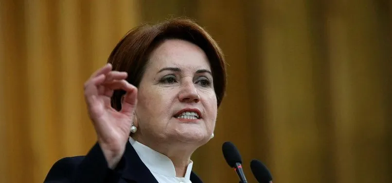 Meral Akşener'e şok! İyi Parti'de bir istifa haber daha