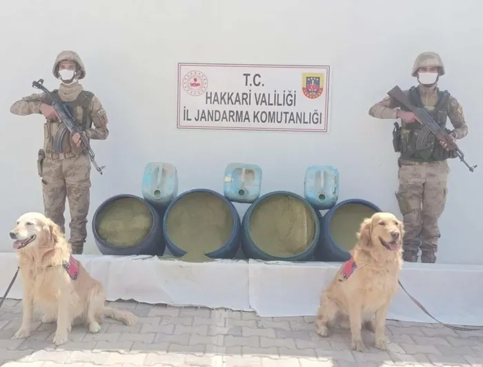 Hakkari'de flaş operasyon! 318 kilo esrar ele geçirildi - 1