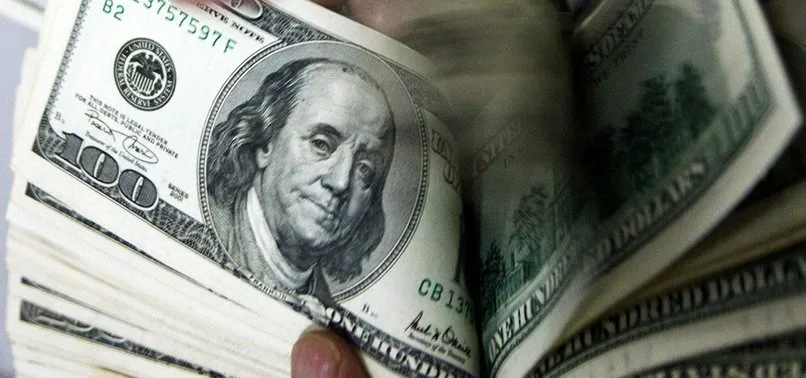 Rusya Merkez Bankası'ndan dikkat çeken dolar açıklaması