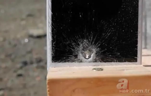 Lamborghini ile oynanan tehlikeli oyun 21