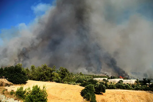 Türkiye genelindeki yangınlarda son durum ne? Tarım ve Orman Bakanı Bekir Pakdemirli son dakika olarak açıkladı