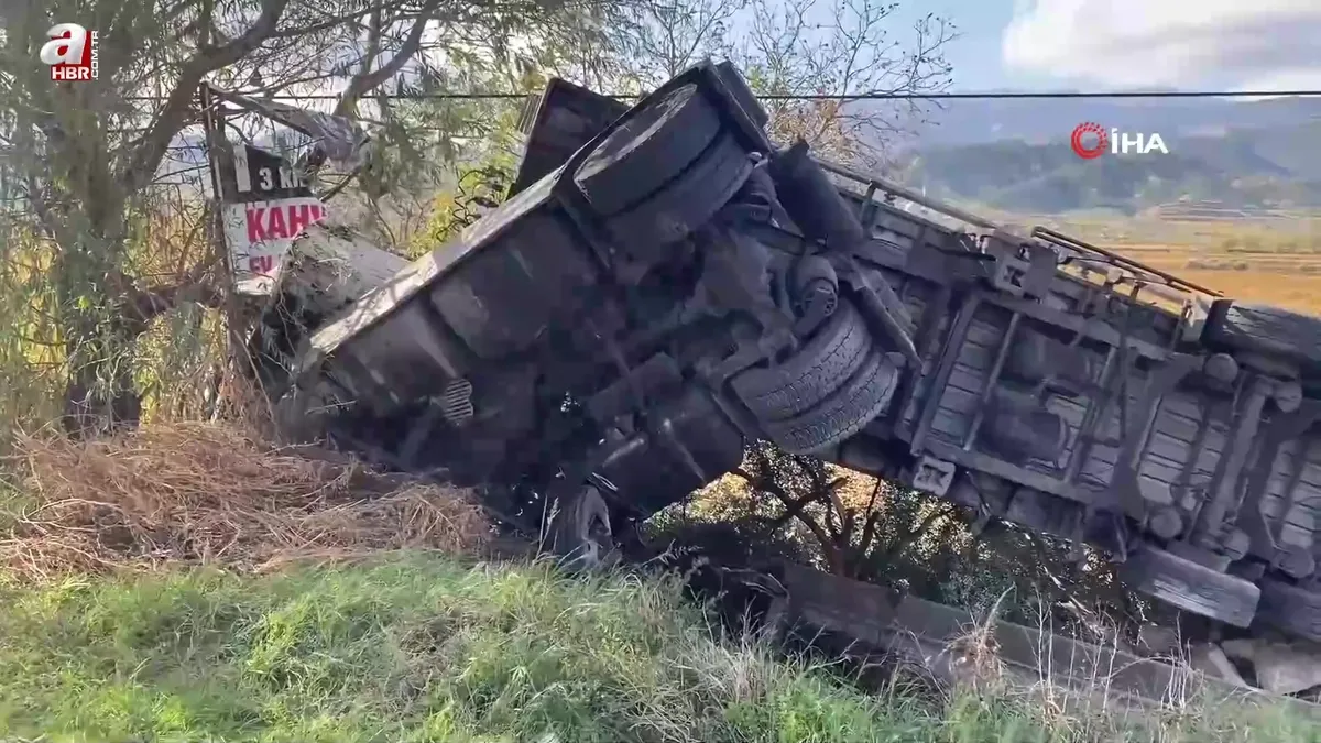 Alaşehir'de süt tankeri üzüm bağına uçtu