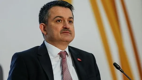 Yanan orman alanları "yeşil" olacak: Tam 252 milyon fidan dikilecek - 2