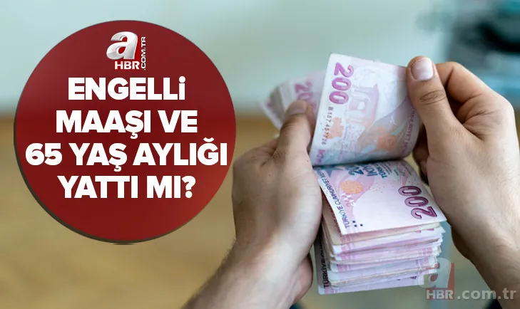 Engelli maaşı ve 65 yaş aylığı yattı mı? 2022 Nisan ayı engelli ve yaşlılık maaşı ne zaman, hangi gün yatacak? 1