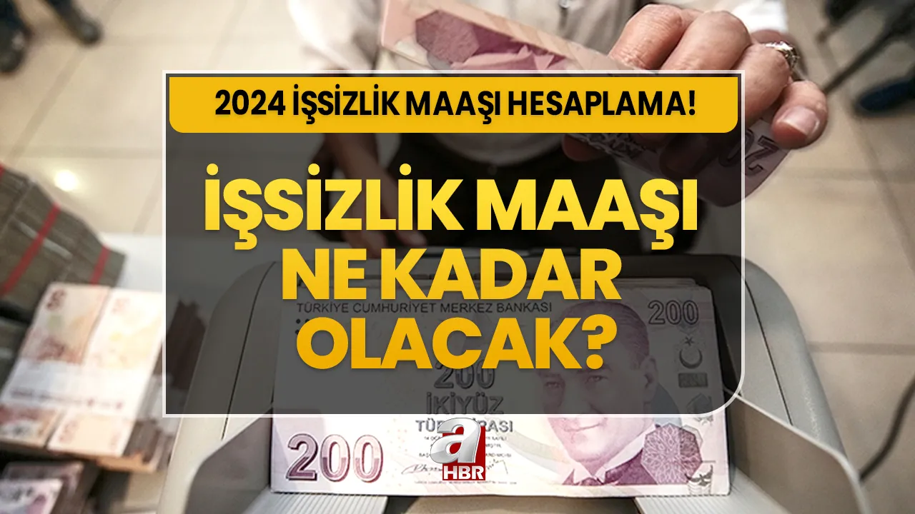 İşsizlik maaşı başvurusu ekranı 2023! İşsizlik maaşı ne kadar, kaç TL olacak?