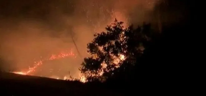 İstanbul Garipçe’de gece yarısı korkutan yangın!