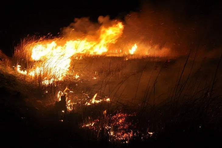Mersin’deki Göksu Deltası’nda yangın