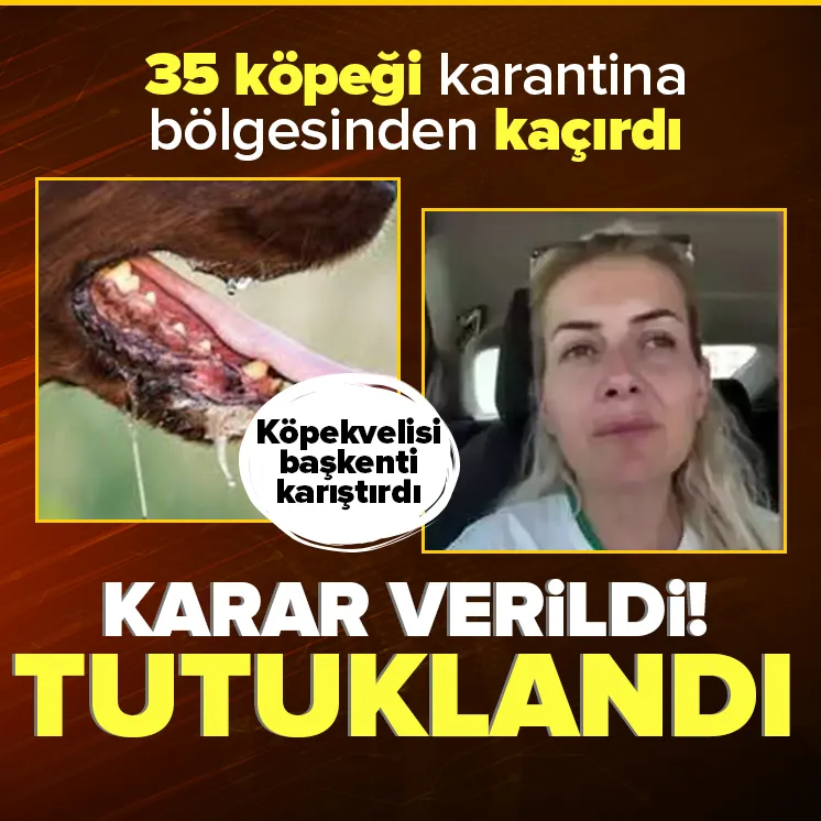 Hasta köpekleri Ankara’ya taşıyan kadın tutuklandı