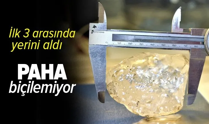 Paha biçilemiyor! Dünyanın en büyük 3. elması