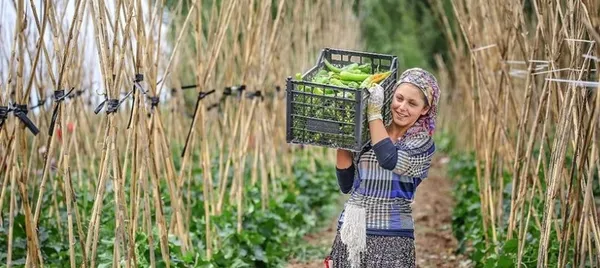 Tarım ve Orman Bakanlığından 300 milyon TL’lik hibe desteği! Bakan İbrahim Yumaklı: Üretimin ve üreticimizin yüzyılı olacak