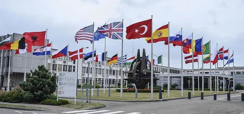 NATO'dan Zeytin Dalı açıklaması