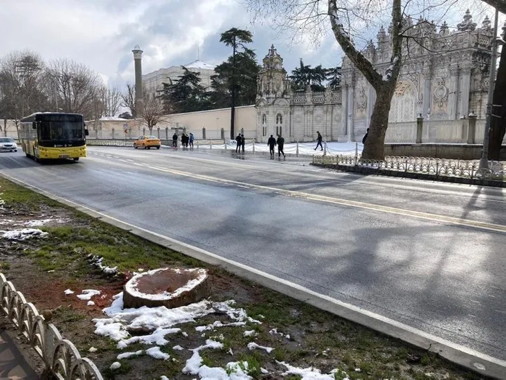 Çırağan'daki ağaç katliamının arkasında ne var? İBB İstanbul'un tarihi simgesine hançer sapladı