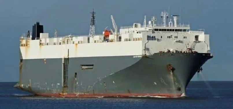 Tuzla'da 180 metre uzunluğundaki Panama bayraklı Hoegh Pusan adlı gemi karaya oturdu