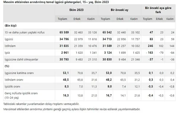 turkiyede-istihdamda-buyuk-artis-issizlik-oranlari-geriliyor-tuik-ekim-2023-isgucu-istatistikleri-1702279981489.jpeg