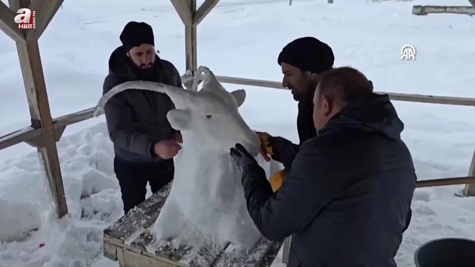 Kardan dağ keçisi yaptılar