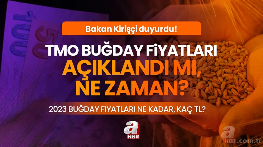 2023 Buğday fiyatları ne kadar, kaç TL? TMO Buğday fiyatları açıklandı mı, ne zaman? Bakan Kirişçi duyurdu! 1