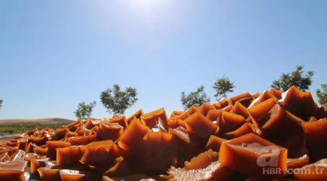 Yapımı oldukça zor ama yiyen vazgeçemiyor Türkiye'nin dört bir yanından yoğun talep var | Resmen şifa deposu 2