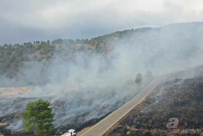 Kahramanmaraş'taki orman yangınının nedeni ortaya çıktı! Torpil şakası 80 hektarı küle döndürdü 7