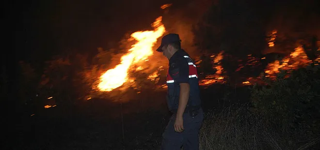 Tekirdağ'da orman yangını