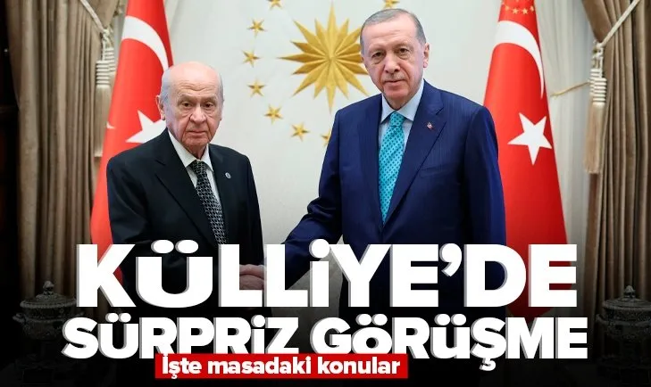 SON DAKİKA! Başkan Recep Tayyip Erdoğan MHP Lideri Devlet Bahçeli’yi kabul etti!