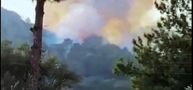 Son dakika: Muğla’nın Seydikemer ilçesinde orman yangını çıktı! Adalet Bakanı Abdulhamit Gül’den bölgeye ziyaret