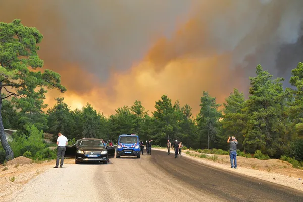 Tarım ve Orman Bakanı Bekir Pakdemirli’den Antalya Manavgat’ta çıkan yangına ilişkin son dakika açıklamaları