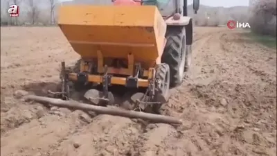 Çiftçinin göz bebeği patates