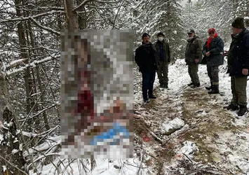 Bunun adı vahşet! Hamile karacanın derisini yüzerken yakalandılar