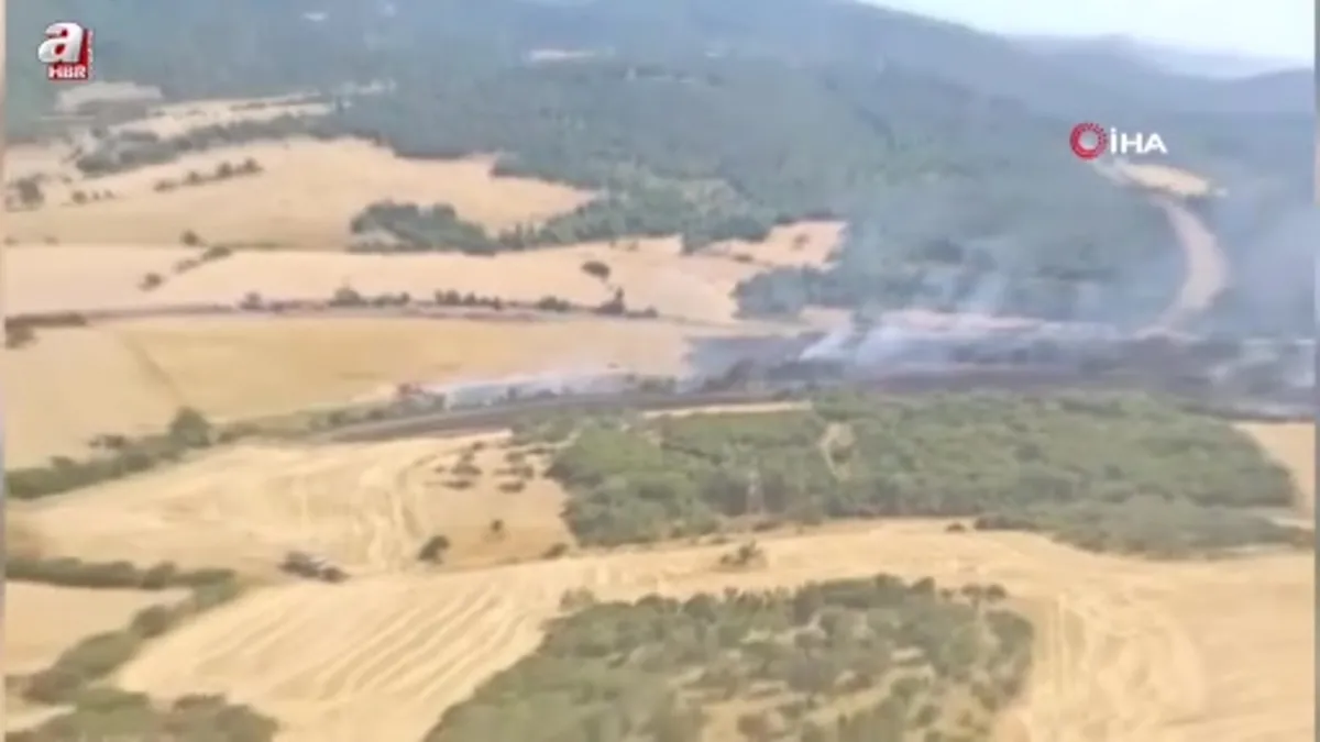 Çanakkale’de tarım arazisinde başlayıp ormana sıçrayan yangın kontrol altına alındı