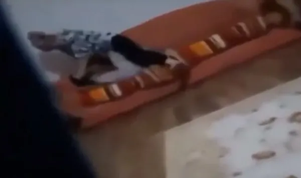 gozu-donen-anne-kizini-bogmaya-calisti-1612593532886.jpg Son dakika: Gözü dönen anne Nurcan Serçe kızını boğmaya çalıştı! - 4