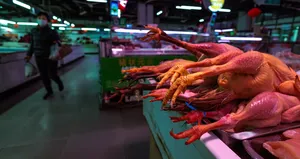 O ülkede salgın alarmı