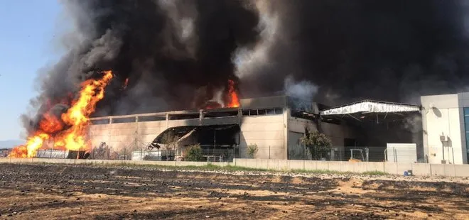 Son dakika: İzmir’de kozmetik fabrikasında yangın