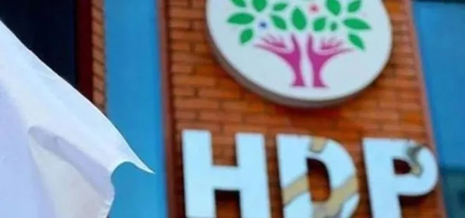 Son dakika: Eski HDP Siirt Milletvekili Hatice Kocaman hakkında tutuklama kararı