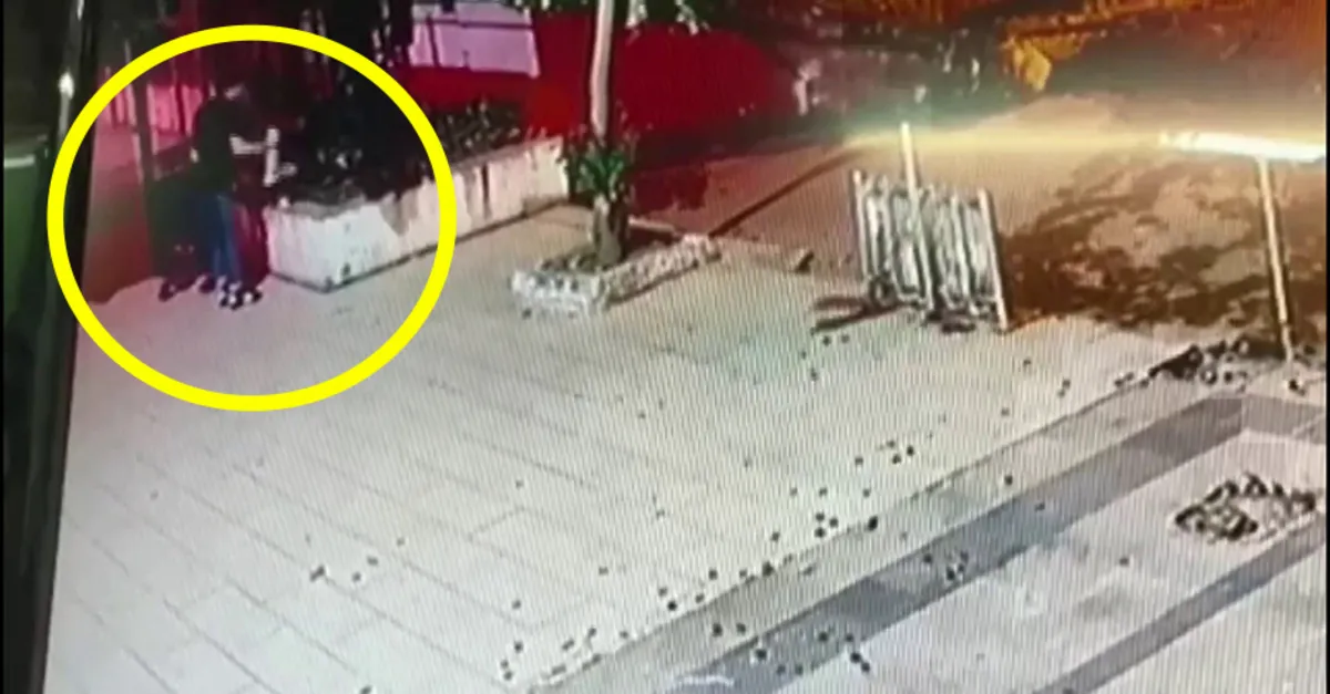 İstanbul Üsküdar'da kediyi tekmeleyip öldüren şahıs için flaş karar