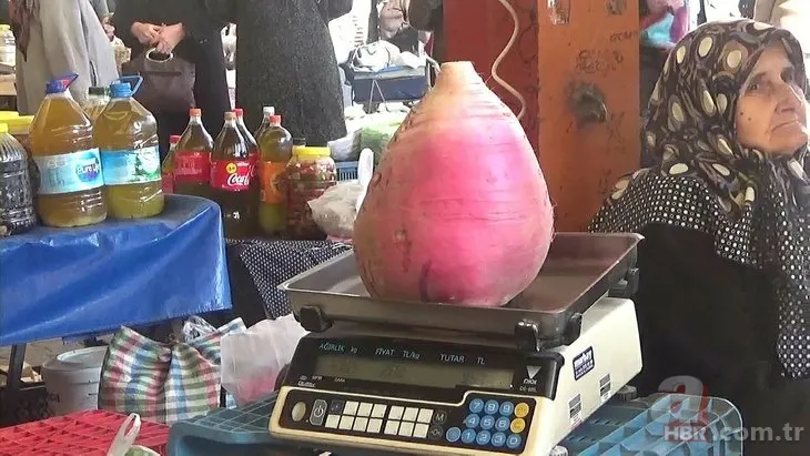 Patlıcan tohumu ekti hayatının şokunu yaşadı! Görenlerin ağzı açık kaldı... 11